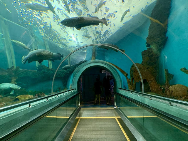 The Rayong Aquarium