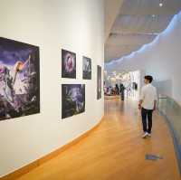 กรุงเทพฯ๒๔๒ (Bangkok242 a space for sharing) …นิทร