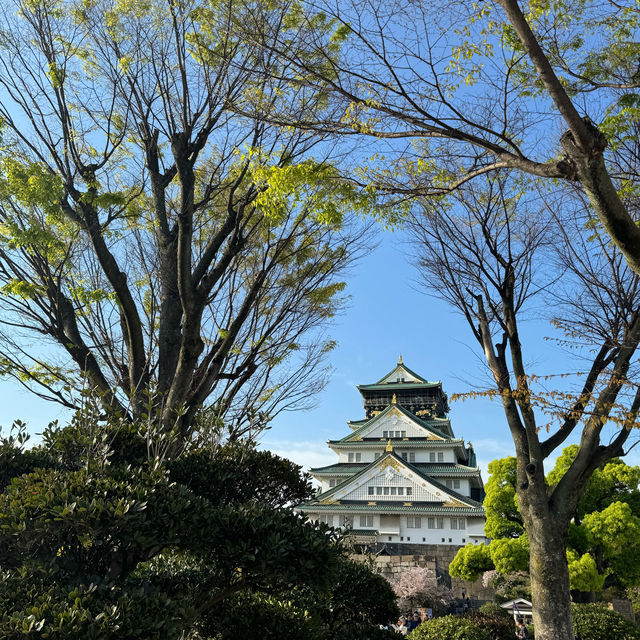 Chasing final Sakura at Osaka and Kyoto - Mid April 