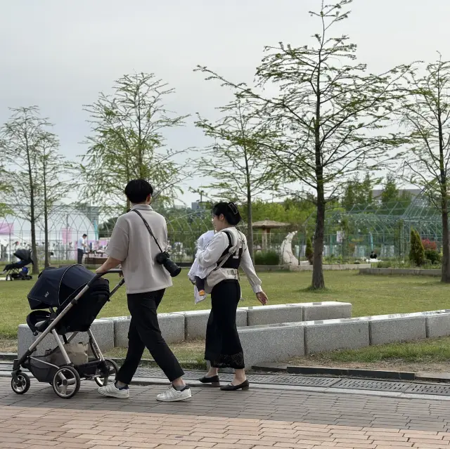 🏞️대전 엑스포 시민공원