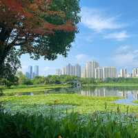 珠海二井灣濕地公園～感受大自然的恬靜優雅