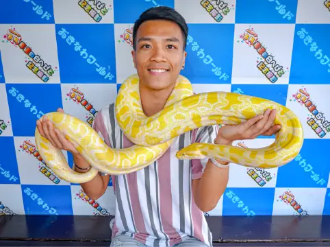 Okinawa World: The Mysteries of the Venomous Snake Museum