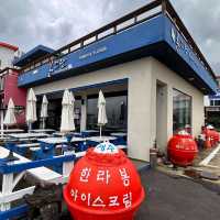 ๐์ ์ฃผ๋ ๋ด๋๋ ํด์์์ฅ ๋ ์ธ๋ณด์ฐ ํ๋ผ์ง ํ๋ฒ๊ฑฐ