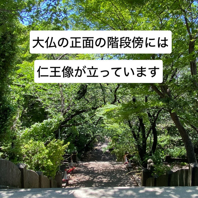 愛知県東海市　「聚楽園(しゅうらくえん）」の大仏