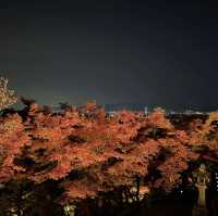 kiyomizu dera illumination 🏮🍁