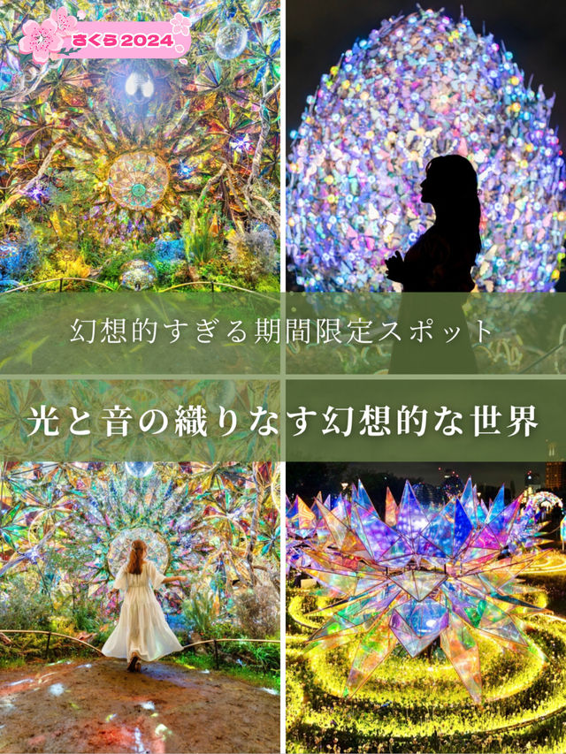 【東京都/お台場】音と光の織りなす幻想的な世界
