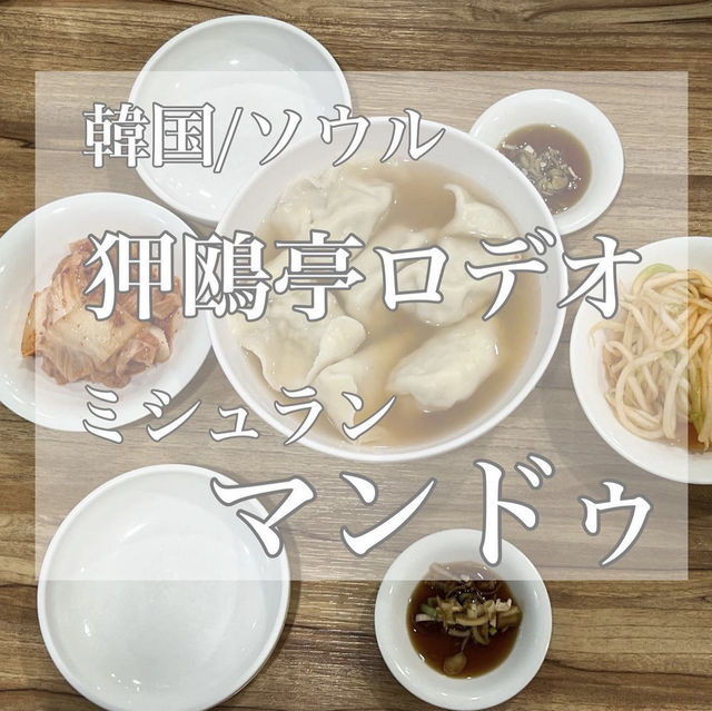 韓国/ソウル【狎鴎亭ロデオ】ミシュランマンドゥ