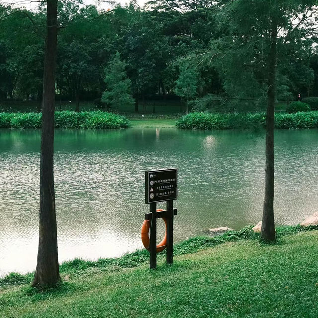 三重區進安公園：綠洲湖景