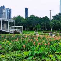 洪湖公園