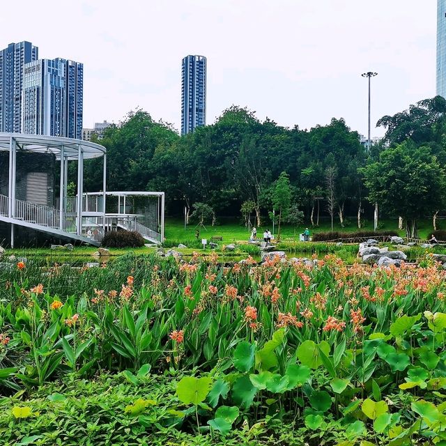 洪湖公園