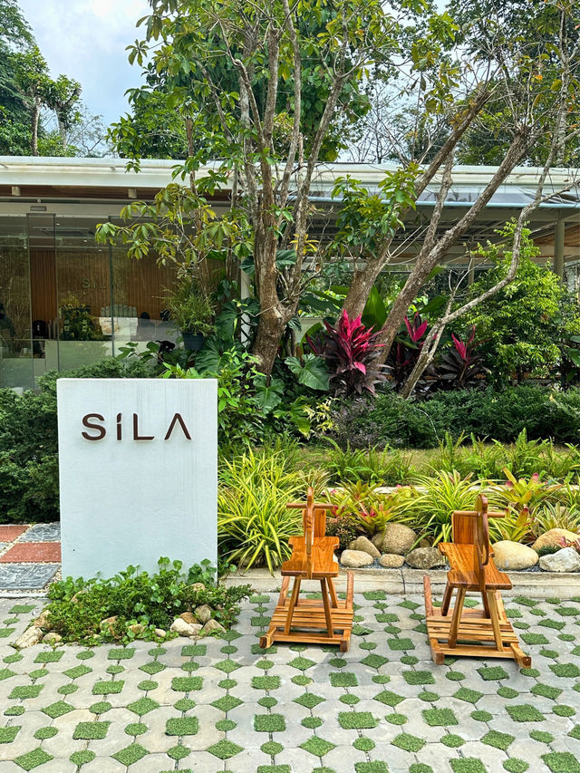 ☕ คาเฟ่กลางธรรมชาติ SILA CAFE 🍮