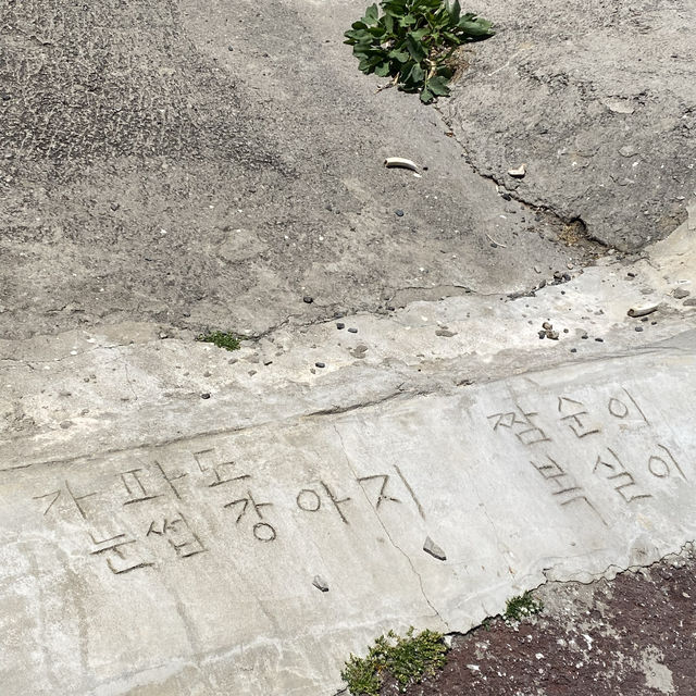 섬 안의 섬, 인적 없어서 좋은 제주 가파도