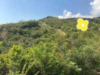 【春天好去處】🌿香港郊遊🍀@元荃古道：☀️靚景賞花🌸，適合假日郊遊
