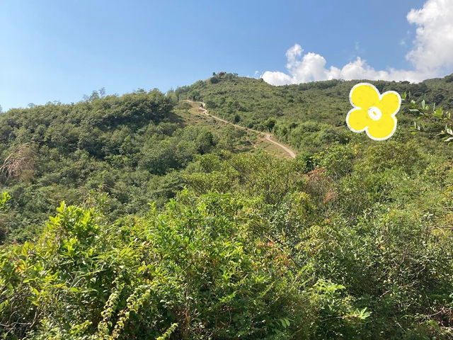 【春天好去處】🌿香港郊遊🍀@元荃古道：☀️靚景賞花🌸，適合假日郊遊