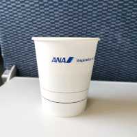 夏旅は東京へ行こう💠伊丹空港から飛行機で行こう