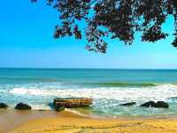 Riviera Beach Free Zone
