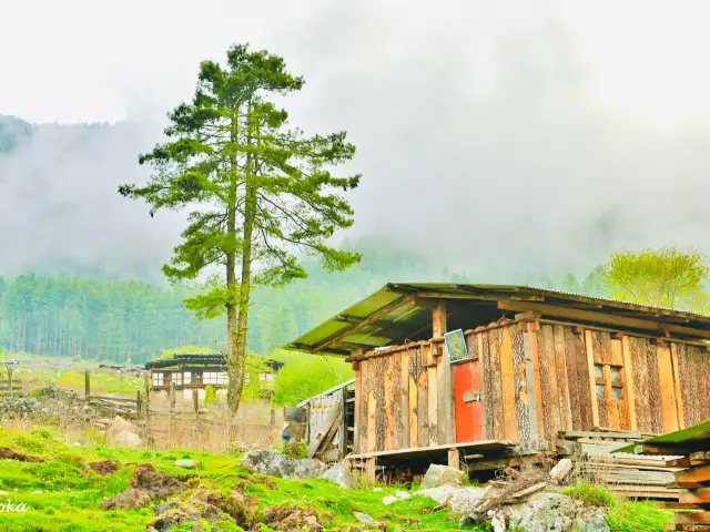The hidden gems that make Bhutan an extraordinary destination🇧🇹