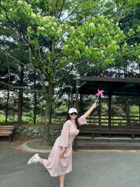 요즘 불꽃놀이로 핫한 바로 이곳!