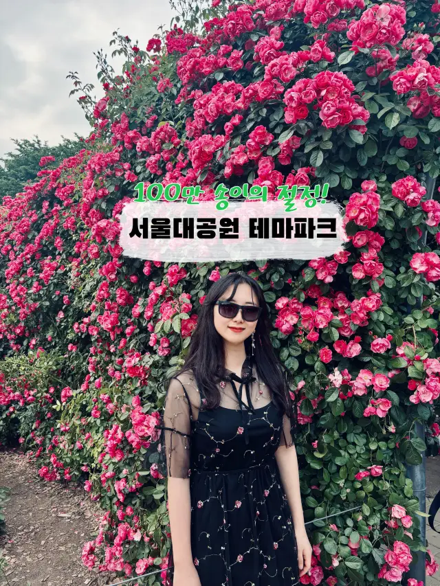 수도권 장미공원 추천