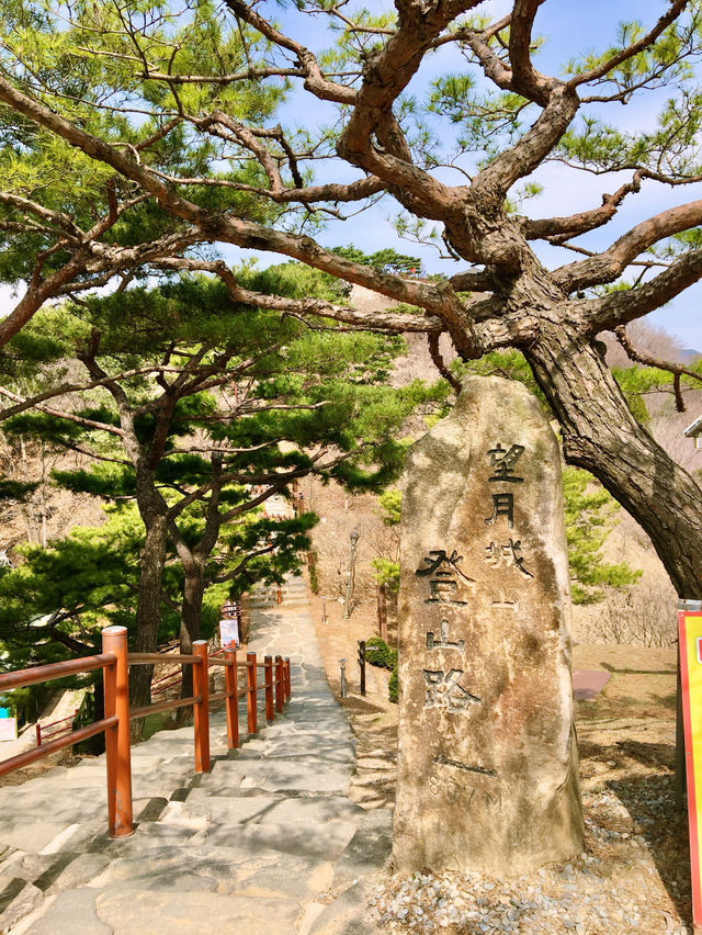 【忠清北道】南韓清風文化財園地：穿越朝鮮王朝，感受韓國傳統韻味