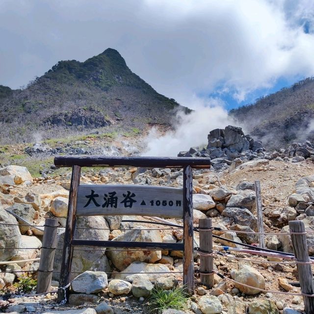 [需提前預約] 箱根大涌谷-自然研究路導覽