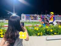 Must watch Horse Racing in Hong Kong 🇭🇰 🐎‼️