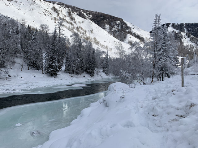 Winter Wonderland Escapades, Hemu Village