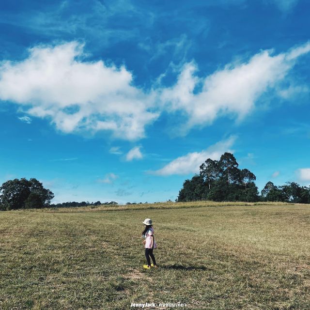 เขาใหญ่ เที่ยวได้ทั้งปี #อุทยานแห่งชาติเขาใหญ่ 