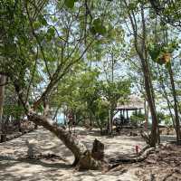 BAMBOO ISLAND 