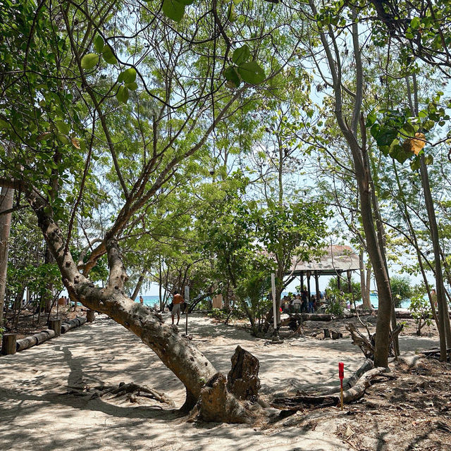 BAMBOO ISLAND 