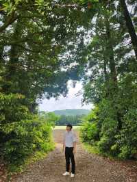 제주여행가서 만족했던 안도르❤️