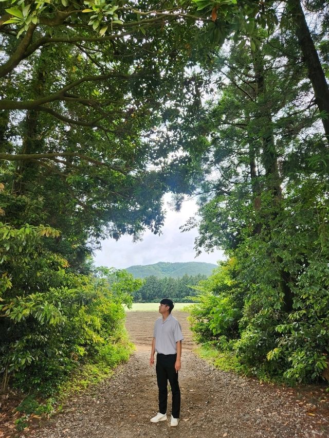 제주여행가서 만족했던 안도르❤️