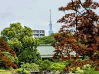 日本東京-靜謐清幽的名石山水園邸：清澄庭園