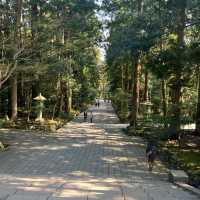 穏やかな気持ちになれる【弥彦神社】