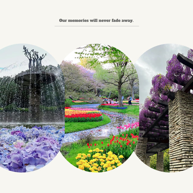 「羊山公園：絢麗花海，白日夜晚皆美」