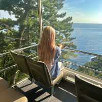 천혜의 자연경관, 울릉도 여행 ⛰️