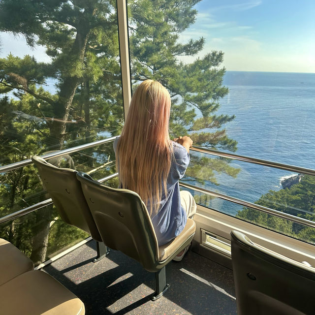 천혜의 자연경관, 울릉도 여행 ⛰️