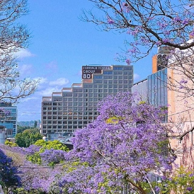 🇦🇺 Sydney, Australia: Harbour City Adventure 🌊🌇