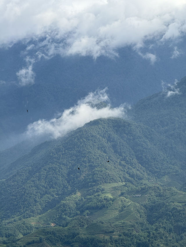ฤดูฝนที่พิสตาชิโอ | ซาปา 🏣⛰️🌧️🇻🇳