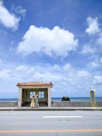  【沖縄 大宜味村】海の見えるバス停️🩵辺土名高校前バス停🌴絶景ポイント