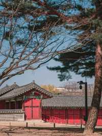 Discover the Majesty of Gyeongbokgung Palace 🇰🇷🏯