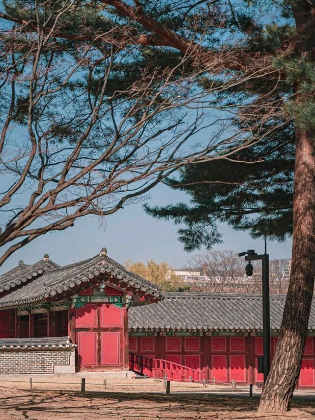 Discover the Majesty of Gyeongbokgung Palace 🇰🇷🏯
