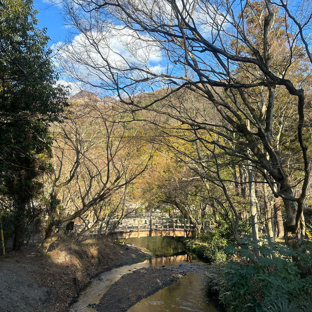 金鱗湖：湖畔神秘鳥居，由布院必遊景點