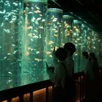 【東京】３万匹の金魚が織りなす美術館🫧「アートアクアリウム美術館」