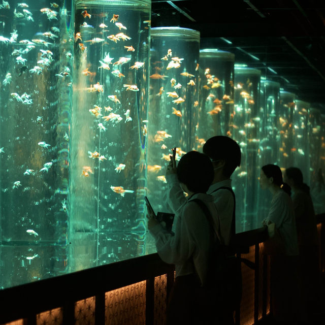 【東京】３万匹の金魚が織りなす美術館🫧「アートアクアリウム美術館」