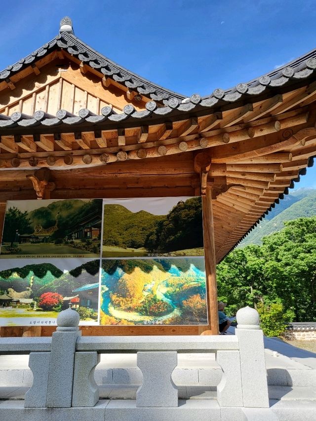 호랑이가 있는 충북 영동 반야사