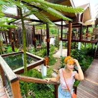Montra Cafe ไร่วังบอน