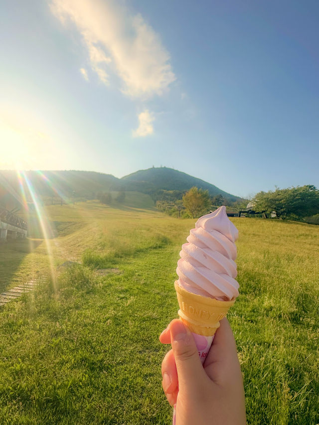【島根】みんなに見て欲しい絶景❣️ 🌄 三瓶山 東の原テラスの魅力✨