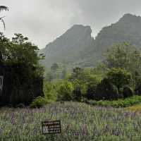 Journey Through the Mystical Landscapes of Vietnam