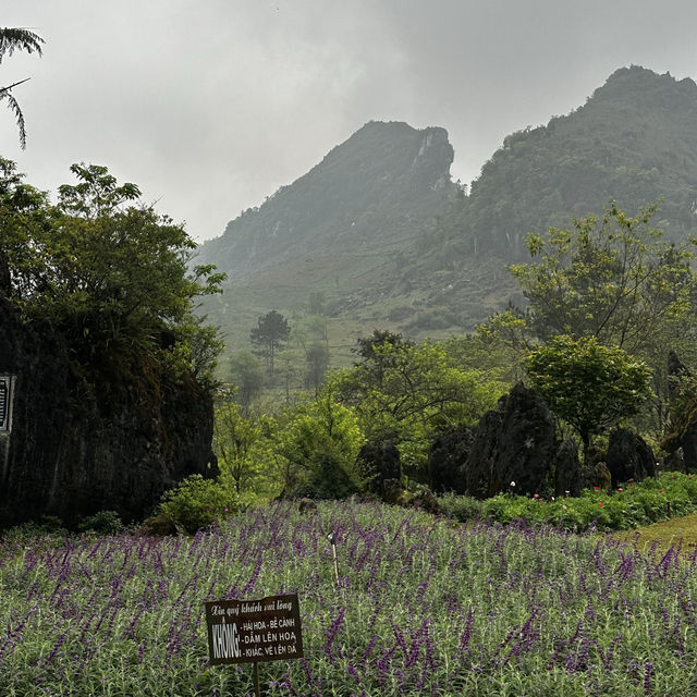 Journey Through the Mystical Landscapes of Vietnam